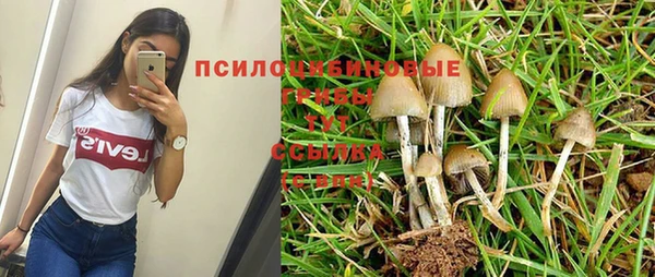 герыч Арсеньев